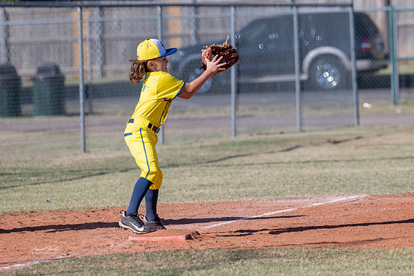 Savana Bananas Oct 2024-10