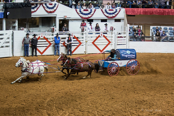 Stock Show 1-30-15-108