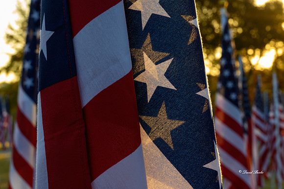 Field of Honor 2020-9