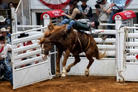 Stock Show 2019-28
