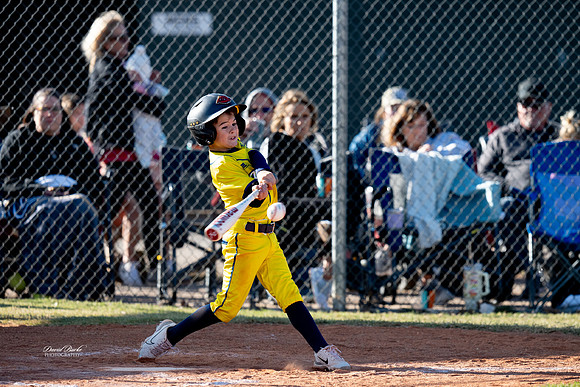 Savana Bananas Oct 2024-1