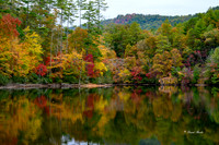 Fall Scenes