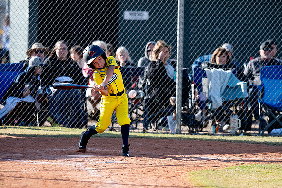 Savana Bananas Oct 2024-2
