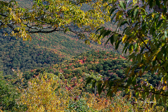 Fall Color 2019-56