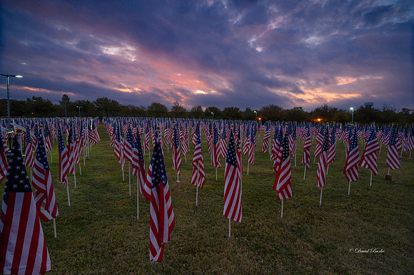 Field of Honor 11-10-21-10
