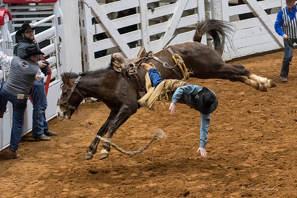 Stock Show 2018-28