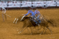 Stock Show 2018-33