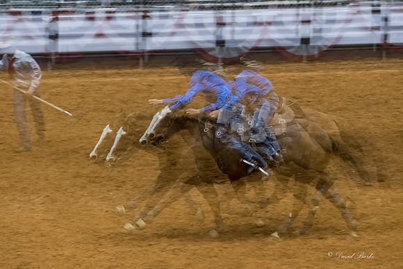 Stock Show 2018-33