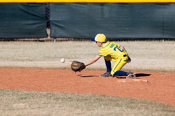 Savana Bananas Oct 2024-6