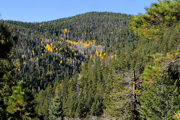 Phimont 09 0234