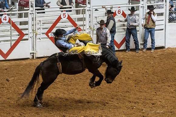 Stock Show 1-27-17-15