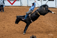 Stock Show 2019-19