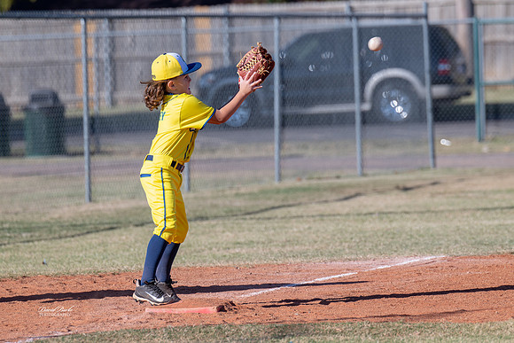 Savana Bananas Oct 2024-9