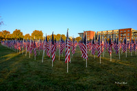 Field of Honor 2020-12