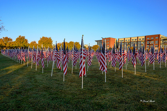 Field of Honor 2020-12