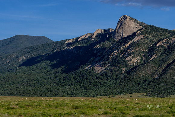 Philmont 2019-13