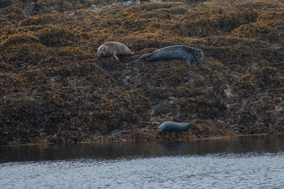 Eagle and Totem Tour-43